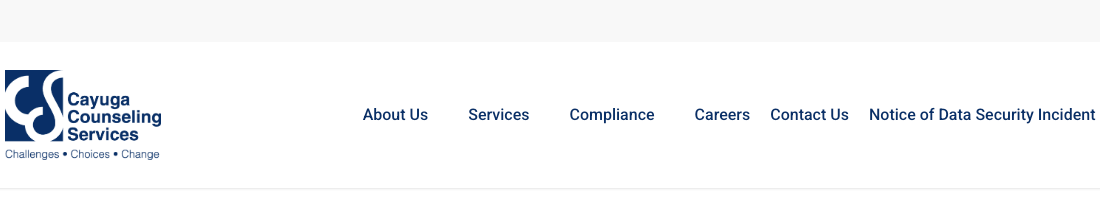 Cayuga Counseling Services Inc